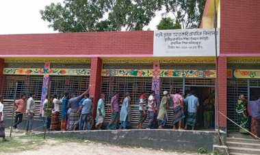 ভোট দিতে যাওয়ার পথে আনারসের সমর্থককে কুপিয়ে জখম