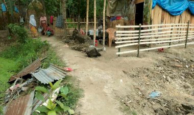 বদলগাছীতে বোনের বসত বাড়ি ভাংচুর করার অভিযোগ ভাইয়ের বিরুদ্ধে!