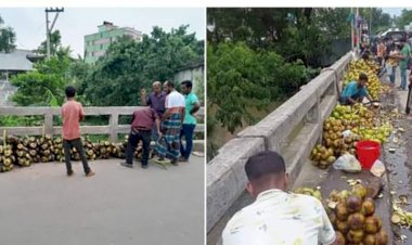 বুড়িচংয়ে  তৃষ্ণা মেটাচ্ছে তাল শাস,বেড়েছে চাহিদা