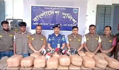 নওগাঁ বিশেষ অভিযানে ১০১ কেজি গাঁজাসহ দুই জন আটক