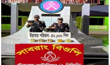 টেকনাফে বিজিবি'র অভিযানে ৫০ হাজার পরিত্যাক্ত ইয়াবা উদ্ধার