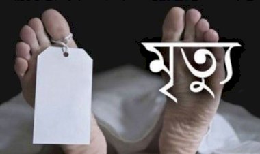 নওগাঁ পুত্রের লাঠির আঘাতে  পিতা খুন