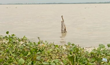 দ্রুত বাড়ছে যমুনার পানি, বন্যার আশঙ্কা
