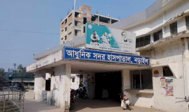 নড়াইলে সড়ক দুর্ঘটনায় ভ্যানচালক নিহত