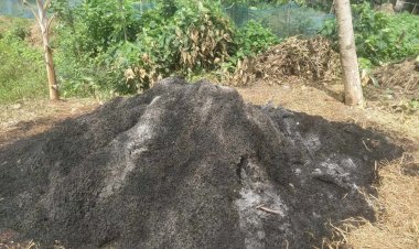 মহাদেবপুরে  পূর্ব শত্রুতার জের ধরে আগুন লাগিয়ে ক্ষতিসাধন