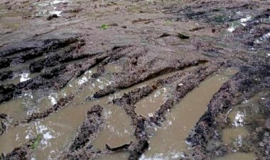 কেশবপুরের মজিদপুর মধ্যপাড়ার রাস্তাটি  চলাচলের অযোগ্য - জনদূর্ভোগ চরমে