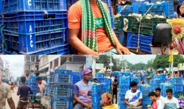 নওগাঁয় আম উৎপাদনের বিশেষ খ্যাতি অর্জন করেছে,কৃষকের পাশাপাশি ভাগ্য বদলেছে নানা পেশার মানুষ