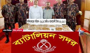 টেকনাফে প্রায় ২৯ কোটি টাকার ২৯ কেজি স্বর্ণ উদ্ধার,মিয়ানমারের দুই নাগরিক আটক
