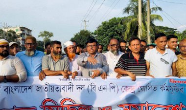 রায়পুরায় বিএনপির অবস্থান কর্মসূচি ও গণ-মিছিল