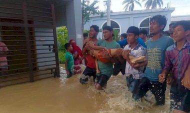 বুড়িচংয়ে হাসিবুল ইসলাম নামে এক শিশু বন্যার পানিতে ডুবে মৃত্যু!