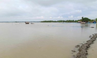 রাজবাড়ী অঞ্চলে পদ্মার পানি প্রবাহ বিপৎসীমার নিচে