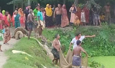 গোবিন্দগঞ্জে জোরপূর্বক পুকুরের মাছ ধরে বিক্রি,সাত লক্ষ টাকার ক্ষতি