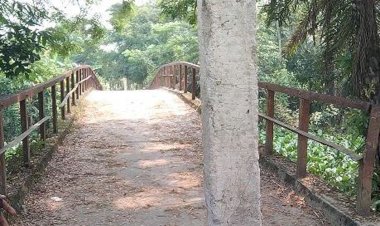 আমতলীতে নিষেধাজ্ঞা অমান্য করে ঝুকিপূর্ণ ব্রিজ দিয়ে যানবাহন চলাচল