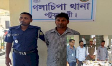 গলাচিপায় পাচারের সময় ১৭ কচ্ছপসহ ব্যবসায়ী আটক