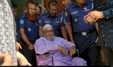 দখল ও চাঁদাবাজি মামলায় জামিন পেলেন সাবেক এমপি দবিরুল