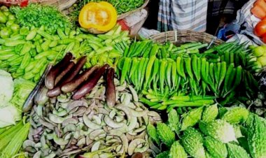 কুমিল্লার বুড়িচং উপজেলায় বিভিন্ন বাজারগুলোতে উঠতে শুরু করেছে শীতকালিন সবজি