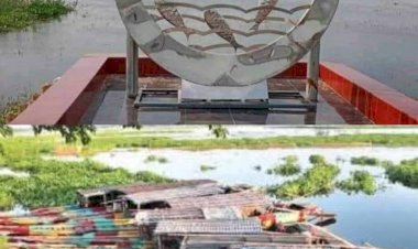 নওগাঁ মিনি কক্সবাজার খ্যাত হাঁসাইগাড়ী বিলে এখন পর্যটকের  হাতছানি দৃশ্যোর দেখা মেলে!!