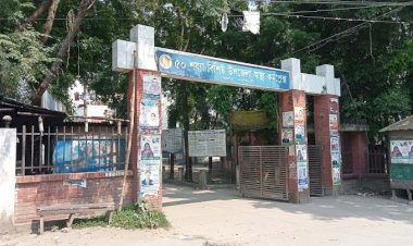 নরসিংদীর বেলাবতে ছেলের ধারালো অস্ত্রের আঘাতে মায়ের মৃত্যু