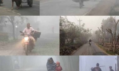 নওগাঁসহ সারাদেশে জেঁকে বসেছে শীত ১০.৩ ডিগ্রি তাপমাত্রায় জীবনযাত্রা ব্যাহত ঘন কুয়াশা থাকবে আরও ৩ দিন