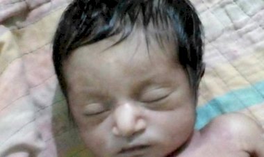 বালিয়াকান্দিতে চিকিৎসা অবহেলায় ক্লিনিকে নবজাতকের মৃত্যু