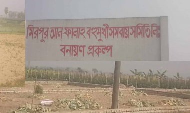 সাভার উপজেলার মধ্যে  অবৈধ  ভাবে  উইপোকা, ছারপোকার মতো গড়ে উঠেছে হাউজিং