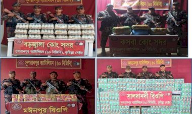 সুলতানপুর  ৬০ বিজিবি কর্তৃক মাদক ও  অবৈধ মালামাল জব্দ