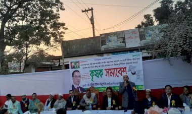 বুড়িচংয়ে পীরযাত্রাপুর   ইউনিয়ন কৃষক দলের কৃষক সমাবেশ অনুষ্ঠিত
