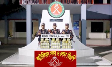 টেকনাফে বিজিবির অভিযানে  সাড়ে ৪ লাখ ইয়াবা উদ্ধার!