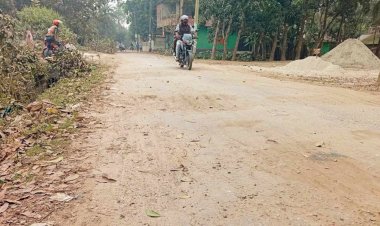 নড়াইল পৌরসভা সড়কের  চলাচলের অনুপযোগী