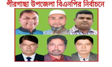 পীরগাছায় উপজেলা বিএনপির দ্বি-বার্ষিক সম্মেলন অনুষ্ঠিত।
