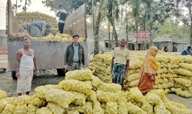রংপুরের আলু যাচ্ছে মালয়েশিয়ায়