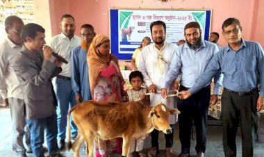 নওগাঁর  মাদিশহরে উত্তরবঙ্গ উন্নয়ন প্রকল্প শিশু পরিবারের মাঝে ১৫০ টি গরু ছাগল বিতরণ