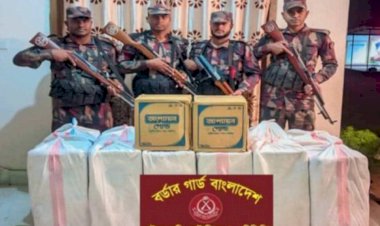 নাইক্ষ‍্যংছড়িতে ১১ বিজিবির অভিযানে অবৈধ গরুসহ বিভিন্ন পণ্য সামগ্রী জব্দ