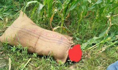 শিবপুর দুলালপুরে বস্তাবদ্ধী লাশ উদ্ধার