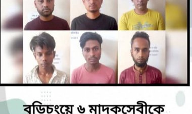 কুমিল্লা সীমান্তে গিয়ে মাদক সেবন, ৬ যুবককে কারাদন্ড