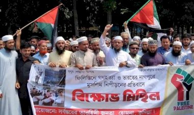 হোমনায় 