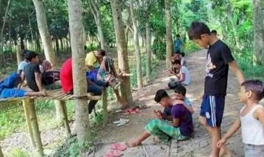 বুড়িচংয়ে আশঙ্কাজনকহারে বাড়ছে কিশোর অপরাধ