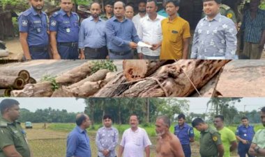 কেশবপুরে সরকারি গাছ কর্তন এবং কৃষি জমি  থেকে মাটি কাটার অপরাধে দু'জনের জরিমানা