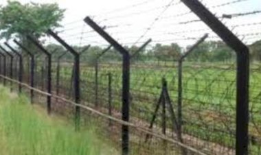 ঠাকুরগাঁওয়ের রানীশংকৈল সীমান্তে ঘাস কাটার সময় এক বাংলাদেশী কে ধরে নিয়ে যায় বিএসএফ