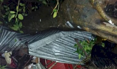 গোবিন্দগঞ্জে ঝড়ের রাতে বটগাছ ভেঙে চা দোকানে থাকা শাপলার মৃত্যু, বেঁচে গেছেন স্বামী খোকা মিয়া