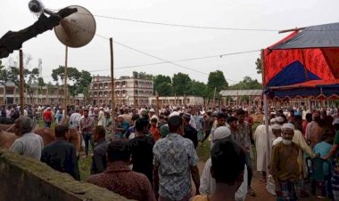 কামরাব বাজারে গরু হাটের ইজারা নিলেও স্কুল মাঠে গরুর বাজার দেখার কেউ নাই!
