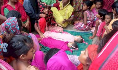 নড়াইলের কালিয়ায় বাড়ির পাশের পুকুরে ডুবে দুই শিশু  মৃত্যু