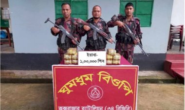 নাইক্ষ্যংছড়ি'র সীমান্তে বিজিবির অভিযানে ১লাখ পিস বার্মিজ ইয়াবা উদ্ধার