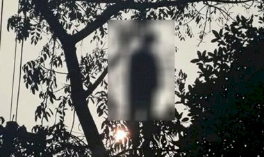 গাজীপুরের শ্রীপুরে কাঁঠাল গাছে ঝুলন্ত যুবকের মরদেহ উদ্ধার