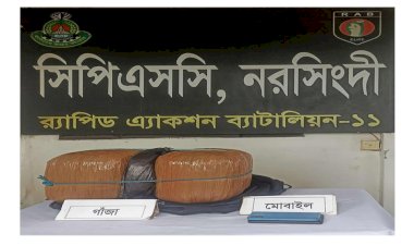 নরসিংদীতে ১১ কেজি গাজা সহ একজন গ্ৰেফতার