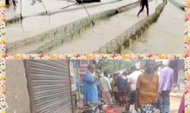 নওগাঁর মান্দাসহ বিভিন্ন উপজেলায়  নিষিদ্ধ চাইনা হাজার দুয়ারি রিংজালে নিধন করা হচ্ছে দেশিয় প্রজাতির পোনামাছ