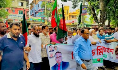 হোমনায় বিএনপির প্রতিবাদ সমাবেশ ও বিক্ষোভ মিছিল অনুষ্ঠিত