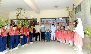 বুড়িচংয়ে জুলাই আন্দোলনে শহিদদের স্মরণে বৃক্ষরোপণ ও চারা বিতরণ