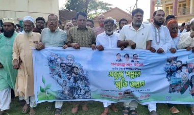 হোমনায় গনঅভ্যুত্থান-২৪ স্মৃতি ধারণে বিএনপির বৃক্ষরোপন কর্মসূচি পালিত