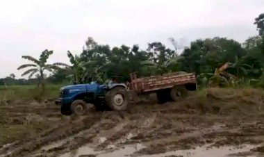 পাঙ্গা নিও না, সমস্যা আছে